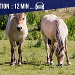 La Maison Du Chateau-confort Premium-famille-wifi Вилла