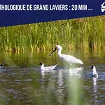Maison Proche Baie De Somme & Le Treport-terrasse Biencourt