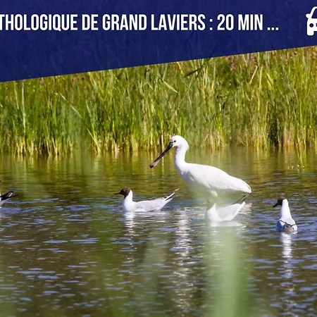 La Maison Du Chateau-confort Premium-famille-wifi Biencourt