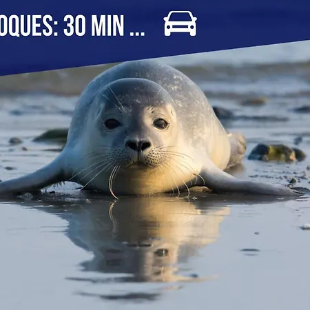 Villa La Maison Du Chateau-confort Premium-famille-wifi