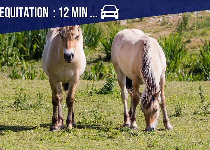 La Maison Du Chateau-confort Premium-famille-wifi Vila