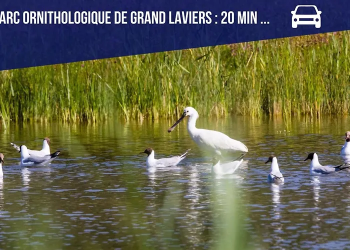 La Maison Du Chateau-confort Premium-famille-wifi Biencourt