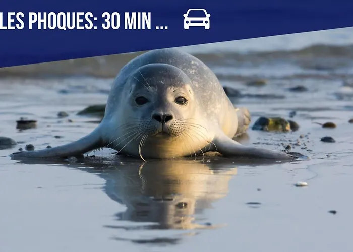 Vila La Maison Du Chateau-confort Premium-famille-wifi